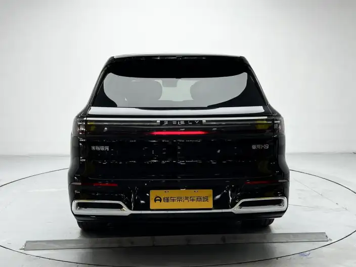 Geely M9 2025 Model 210km 4WD Pilot Edition – фото 6
