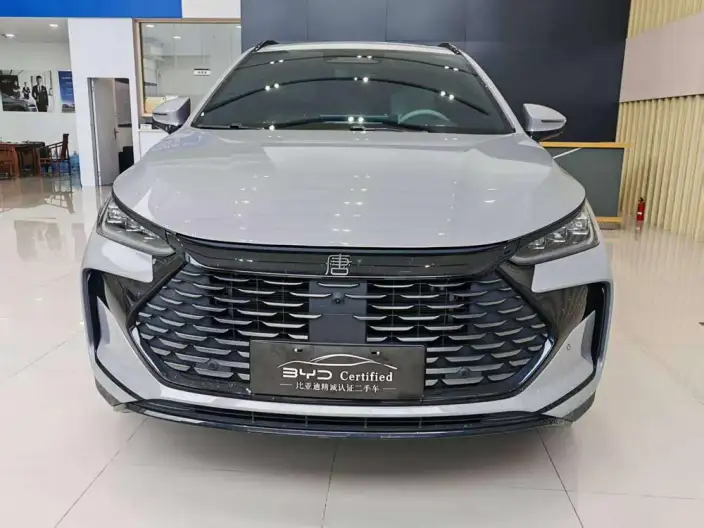 BYD Tang DM 2025 Model Smart Driving Edition DM-i 175KM Noble Model – фото 2