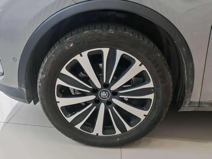 BYD Tang DM 2025 Model Smart Driving Edition DM-i 175KM Noble Model – фото 9