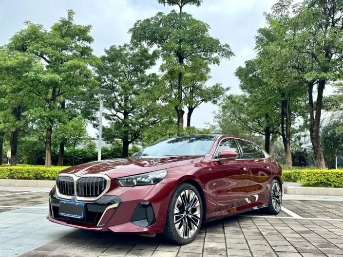 BMW 5 Series 2024 Model 530Li Exclusive Model M Sports Set – фото 10