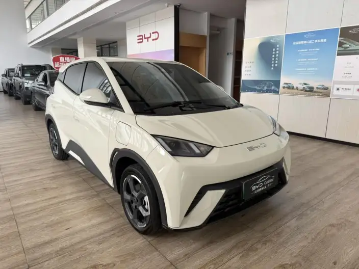 BYD Seagull 2023 Model Feixiang Edition – фото 3