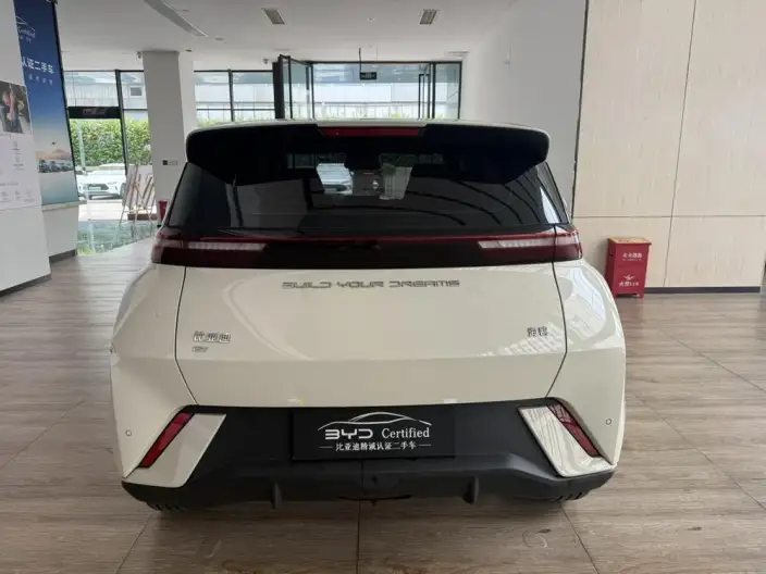 BYD Seagull 2023 Model Feixiang Edition – фото 5