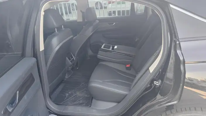 Hongqi E-QM5 2024 Model 500KM Travel Edition 100kW – фото 9