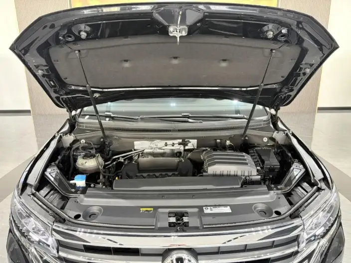Viloran 2024 Model 380TSI Zun Drive Edition – фото 6
