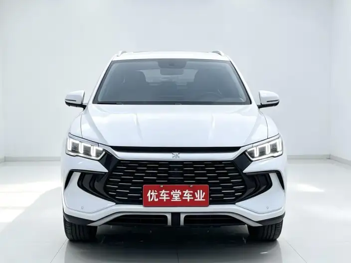 BYD Song Pro DM 2024 Model DM-i Honor Edition 71km Leading Model – фото 2