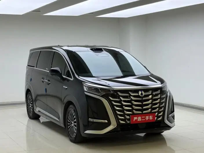 DENZA D9 DM 2025 Model Smart Driving Edition 1020 4WD Exclusive Model – фото 3