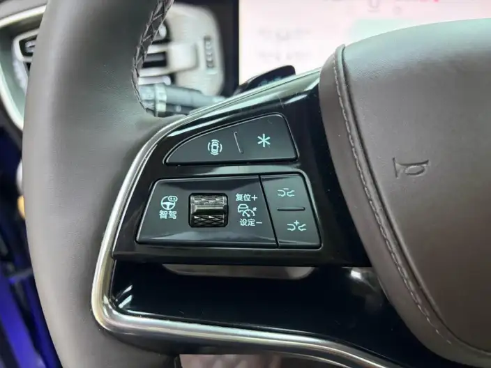 DENZA D9 DM 2025 Model Smart Driving Edition 1020 4WD Exclusive Model – фото 8
