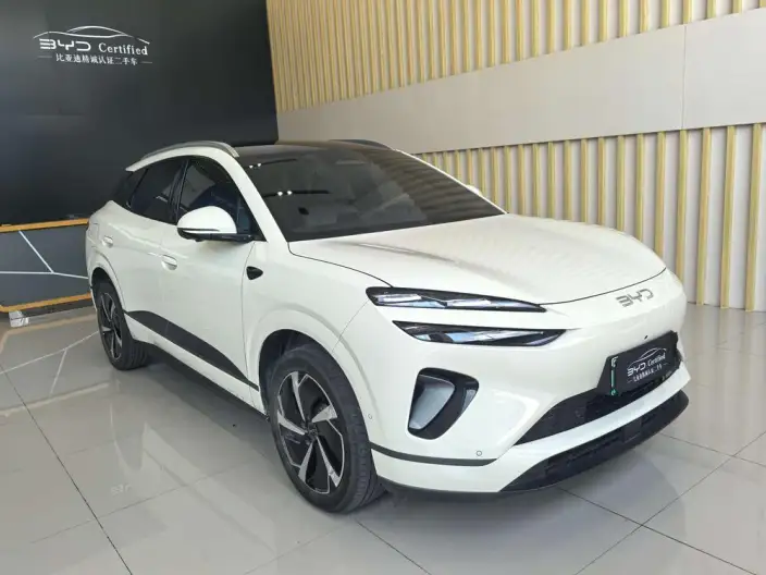 Sea Lion 06DM 2025 Model DM-i 205KM Pilot Plus Edition – фото 3