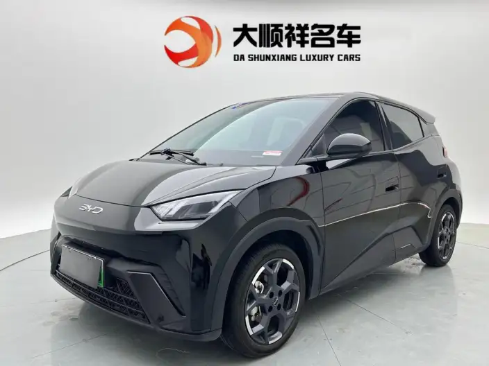 BYD Seagull 2025 Model 405KM Feixiang Edition – фото 1