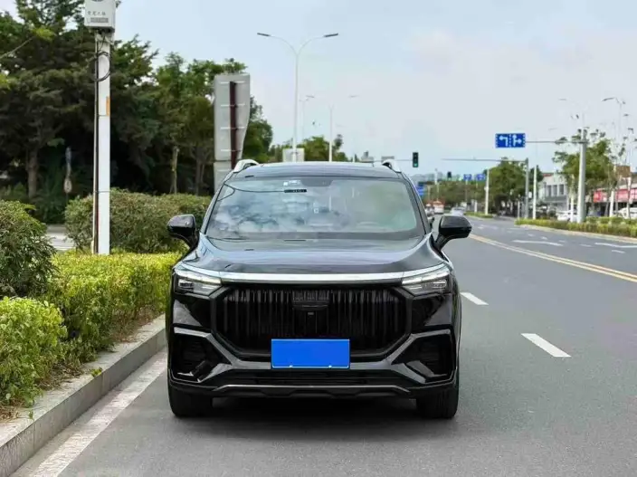 Haoyue L 2023 Model 2.0TD DCT Noble Model – фото 2
