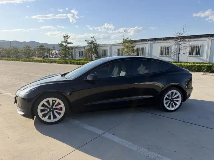 Model 3 2021 Model Standard Battery Life Rear Drive L Class Edition 3D6 – фото 3