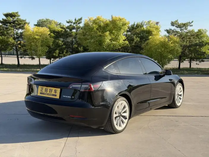 Model 3 2021 Model Standard Battery Life Rear Drive L Class Edition 3D6 – фото 5