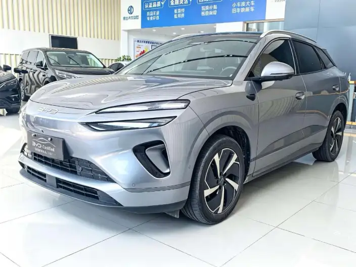 Sea Lion 06DM 2025 Model DM-i 205KM Pilot Pro Edition – фото 1