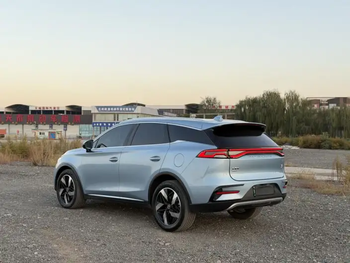 BYD Tang DM 2023 Model DM-i Champion Edition 112KM Exclusive Model – фото 4