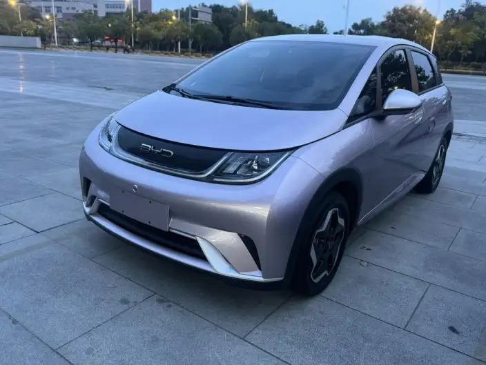 BYD Dolphin 2021 Model Free Edition – фото 1