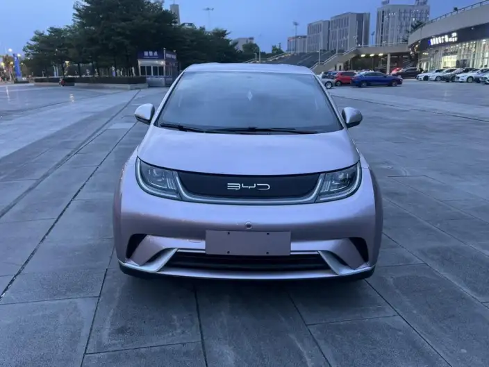 BYD Dolphin 2021 Model Free Edition – фото 2
