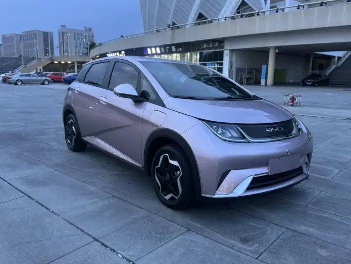 BYD Dolphin 2021 Model Free Edition – фото 3