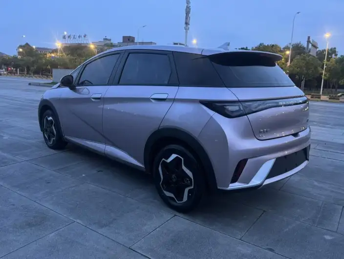 BYD Dolphin 2021 Model Free Edition – фото 4
