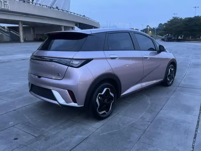 BYD Dolphin 2021 Model Free Edition – фото 6