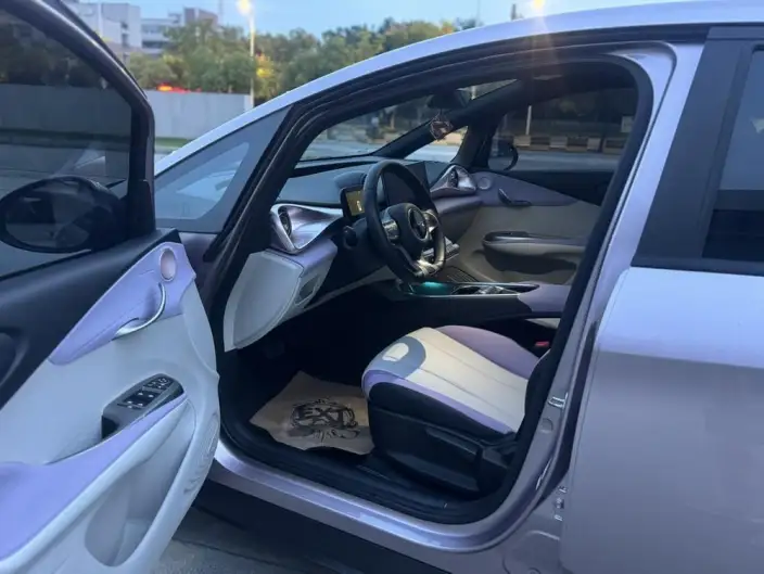 BYD Dolphin 2021 Model Free Edition – фото 8