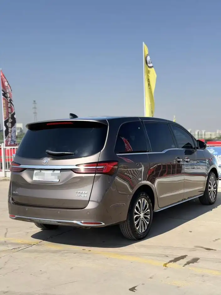 Buick GL8 2023 Model Business class 2.0T Luxury Model – фото 6