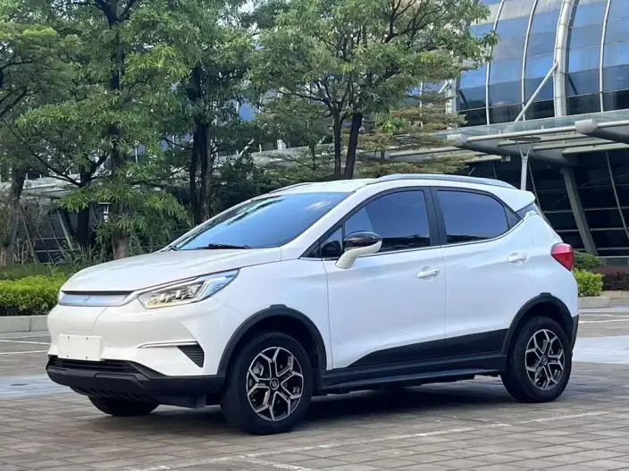 Yuan Pro 2021 Model 401KM Luxury Model – фото 1