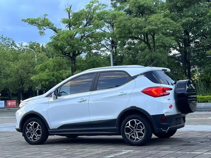 Yuan Pro 2021 Model 401KM Luxury Model – фото 2