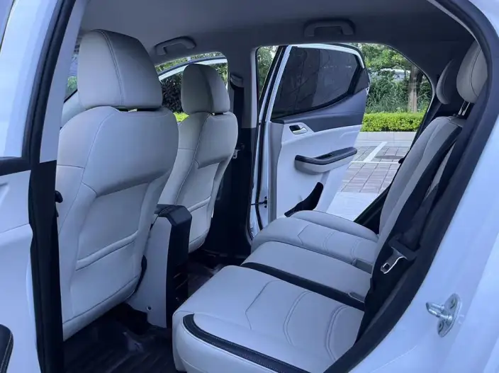Yuan Pro 2021 Model 401KM Luxury Model – фото 9