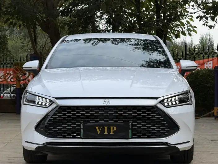 BYD Qin PLUS DM 2024 Model Honor Edition DM-i 55KM Leading Model – фото 2