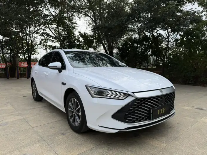 BYD Qin PLUS DM 2024 Model Honor Edition DM-i 55KM Leading Model – фото 3