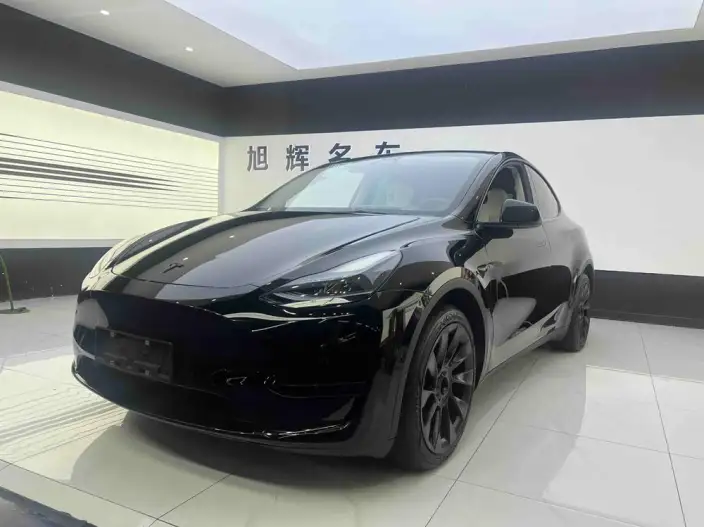Model Y 2022 Model Facelift Rear-wheel drive version – фото 1