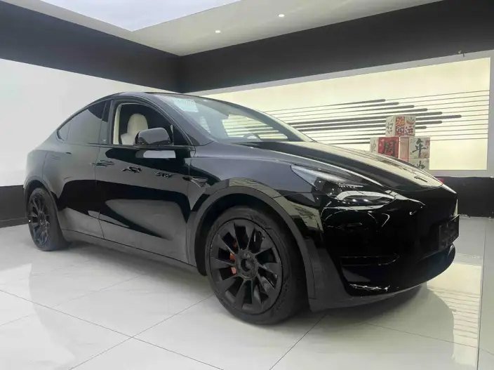 Model Y 2022 Model Facelift Rear-wheel drive version – фото 2