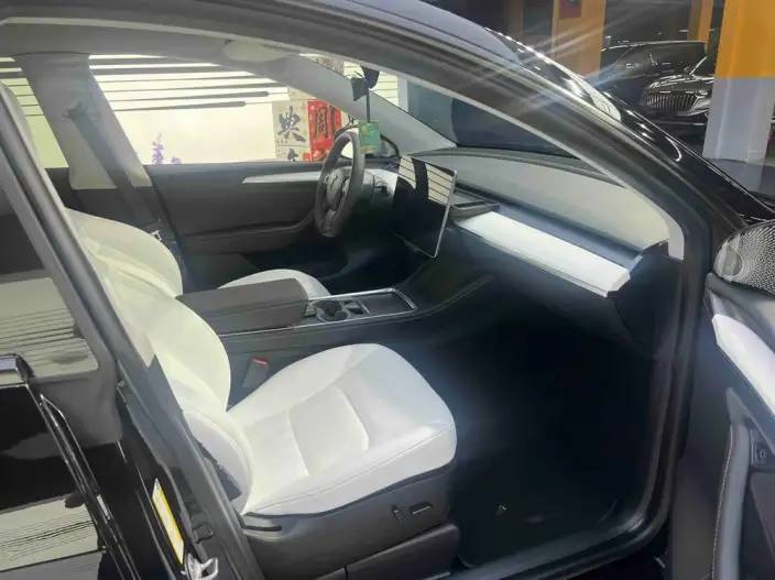 Model Y 2022 Model Facelift Rear-wheel drive version – фото 5