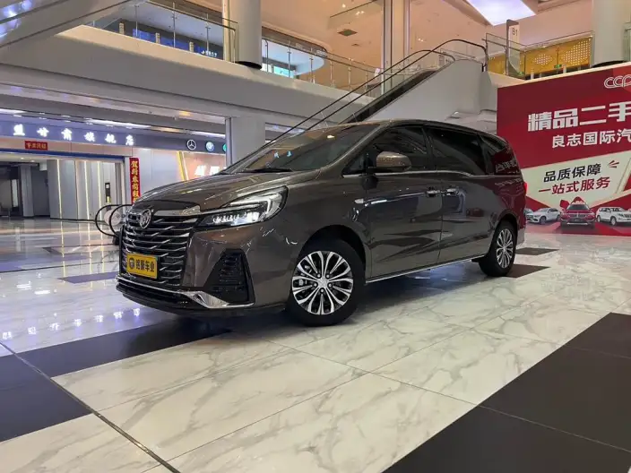 Buick GL8 2023 Model Business class 2.0T Luxury Model – фото 1
