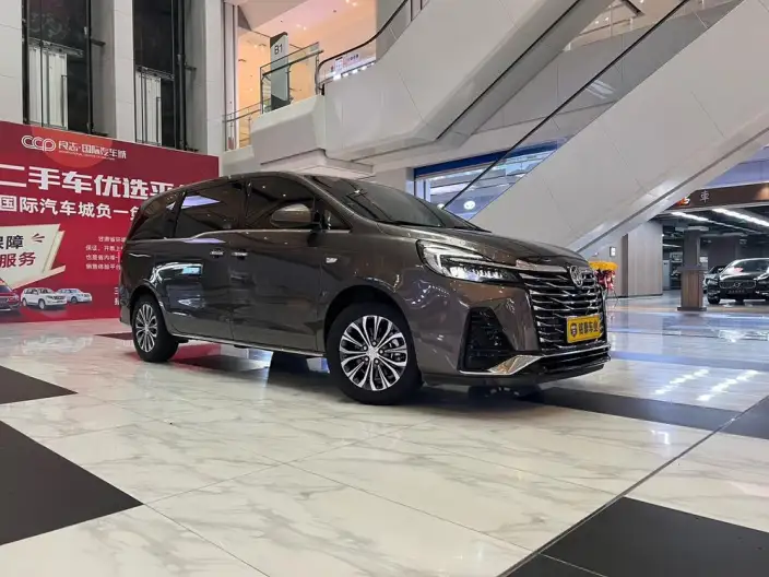 Buick GL8 2023 Model Business class 2.0T Luxury Model – фото 3
