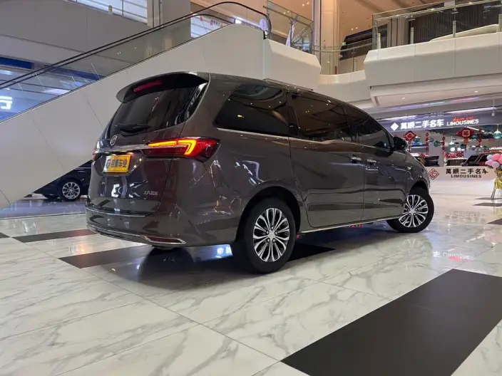 Buick GL8 2023 Model Business class 2.0T Luxury Model – фото 6