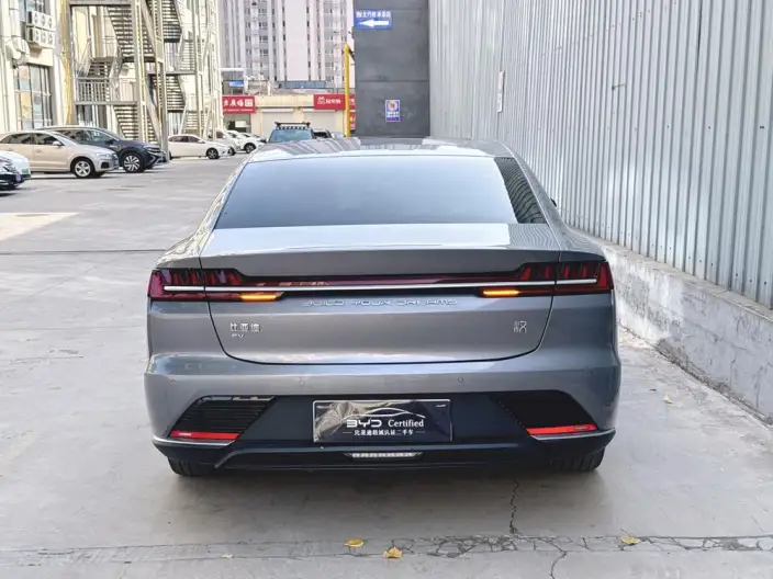 BYD Han EV 2020 Model Ultra-long Endurance Luxury Model – фото 6