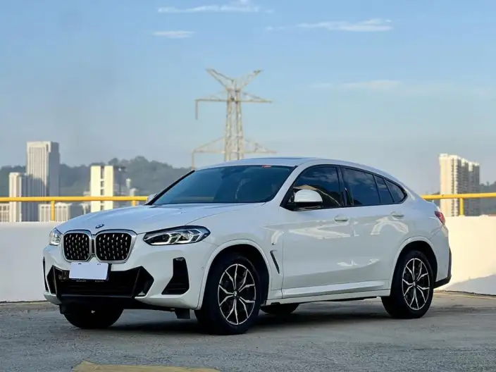 BMW X4 2022 Model xDrive 25i M Sports Set – фото 1