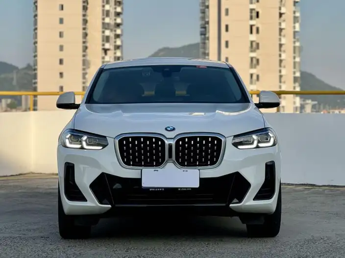 BMW X4 2022 Model xDrive 25i M Sports Set – фото 2