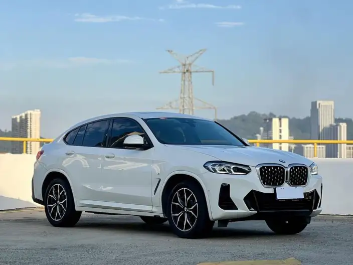 BMW X4 2022 Model xDrive 25i M Sports Set – фото 3