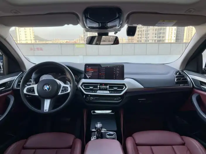 BMW X4 2022 Model xDrive 25i M Sports Set – фото 10
