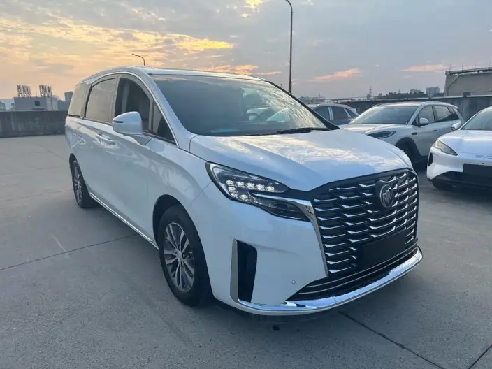 Buick GL8 2023 Model ES Luzun 2.0T Exclusive Model – фото 3
