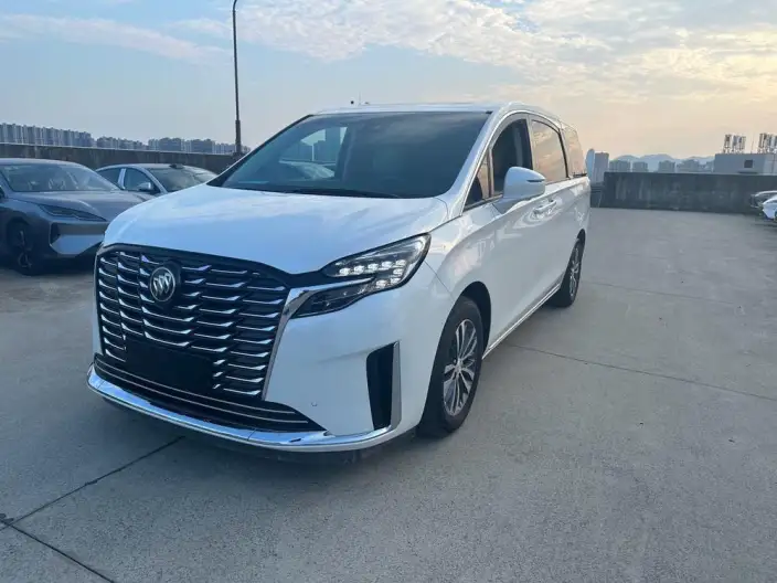 Buick GL8 2023 Model ES Luzun 2.0T Exclusive Model – фото 10