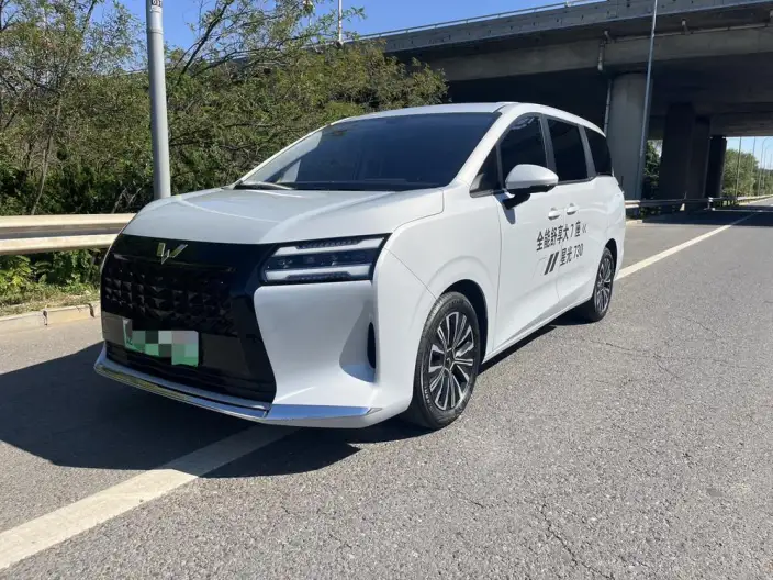 Xingguang 730 PHEV 2025 Model 125km Luxury Model – фото 10