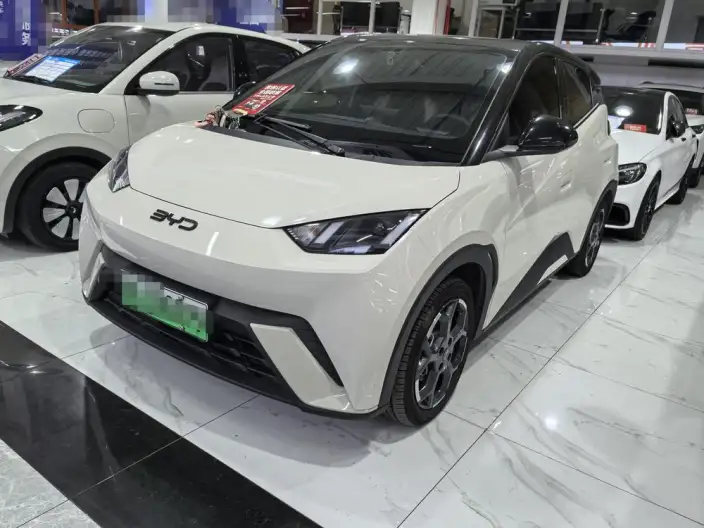 BYD Seagull 2025 Model 305KM Free Edition – фото 1