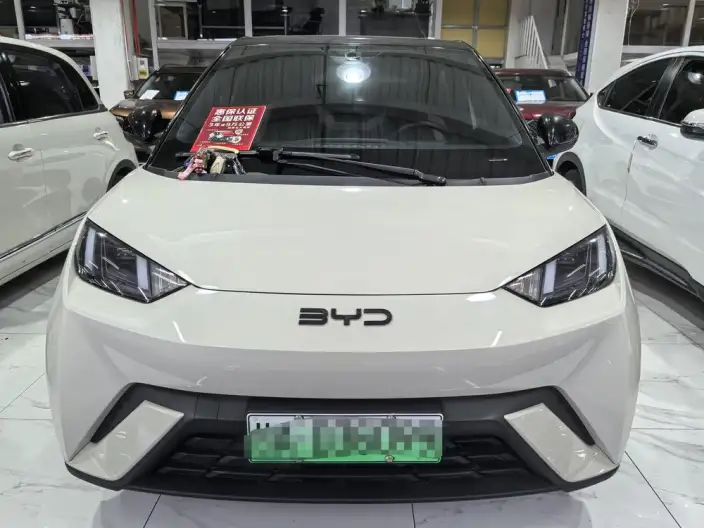 BYD Seagull 2025 Model 305KM Free Edition – фото 2