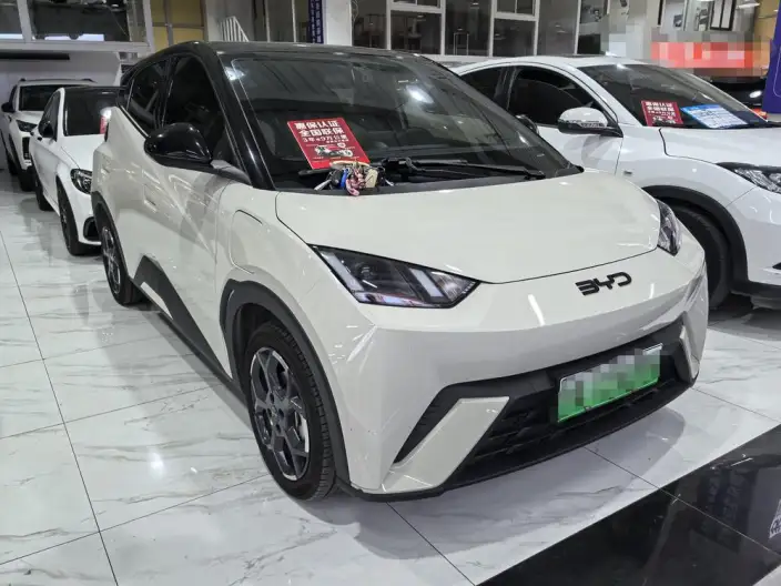 BYD Seagull 2025 Model 305KM Free Edition – фото 3