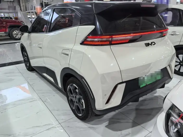BYD Seagull 2025 Model 305KM Free Edition – фото 4