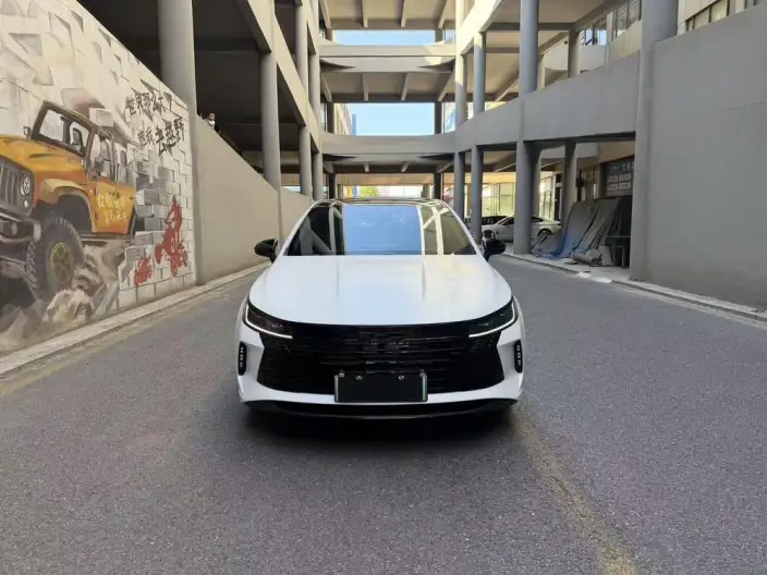 BYD Destroyer 05 2024 Model Honor Edition DM-i 55KM Luxury Model – фото 2