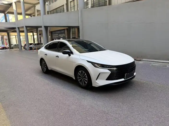 BYD Destroyer 05 2024 Model Honor Edition DM-i 55KM Luxury Model – фото 3